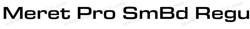 Meret Pro SmBd Regul字体转换
